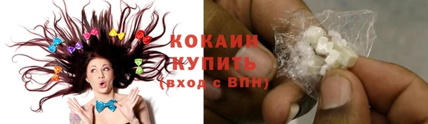ПСИЛОЦИБИНОВЫЕ ГРИБЫ Арсеньев