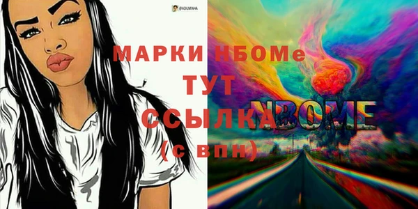 ПСИЛОЦИБИНОВЫЕ ГРИБЫ Арсеньев
