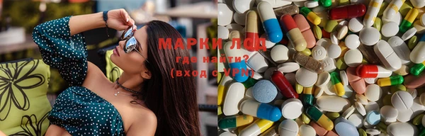 ПСИЛОЦИБИНОВЫЕ ГРИБЫ Арсеньев
