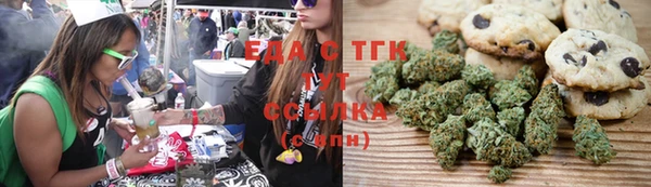 ПСИЛОЦИБИНОВЫЕ ГРИБЫ Арсеньев